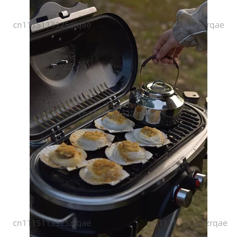 Przenośna kuchenka gazowa do u – Camping Cooking Range recenzja i cena